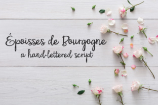 PN Époisses De Bourgogne: A Web Designer’s Take
